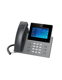Grandstream GXV3450 2