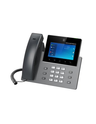 Grandstream GXV3450