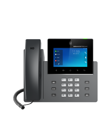 Grandstream GXV3450